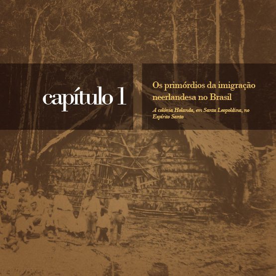 capitulo-holandeses-no-brasil