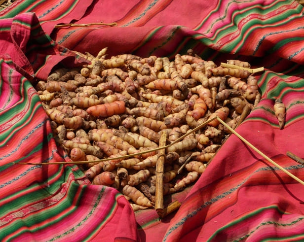 batatas nativas em viagem ao Peru