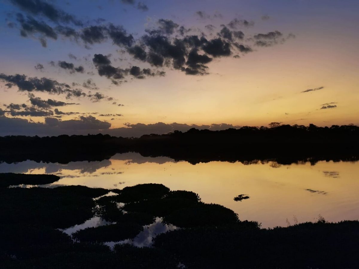 turismo no pantanal