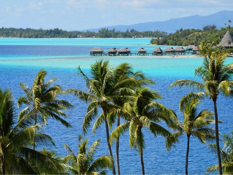 Vista de uma praia paradisíaca com coqueiros inclinados em primeiro plano, areia clara e águas cristalinas do mar em tons de azul-turquesa sob um céu aberto.