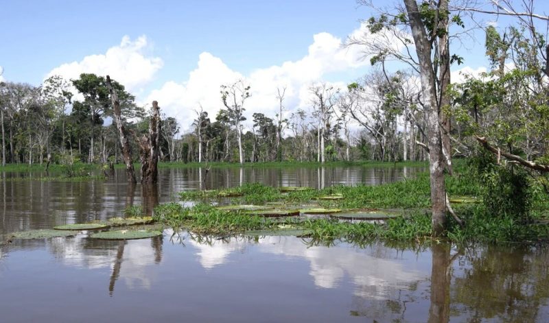 Amazonia, uma das sete maravilhas da natureza