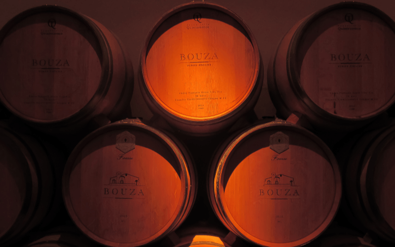 Barris de carvalho da vinícola Bouza iluminados com luz âmbar em adega escura.