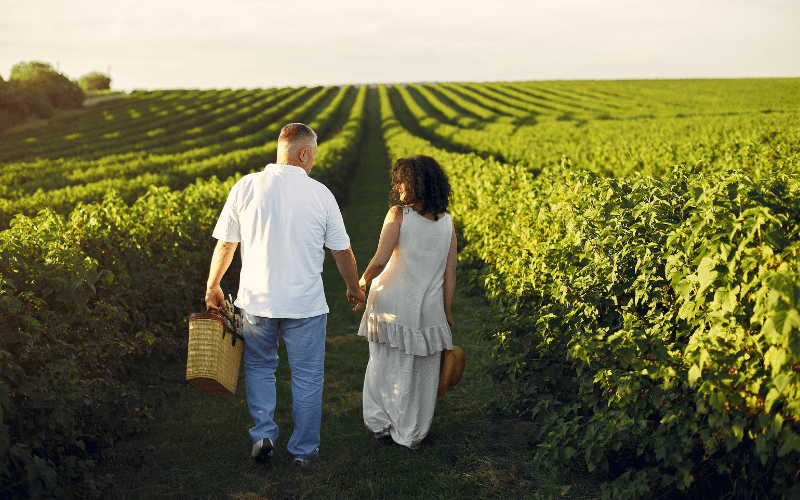 Casal de mãos dadas caminhando entre fileiras de plantações verdes, homem carregando cesta de vime.
