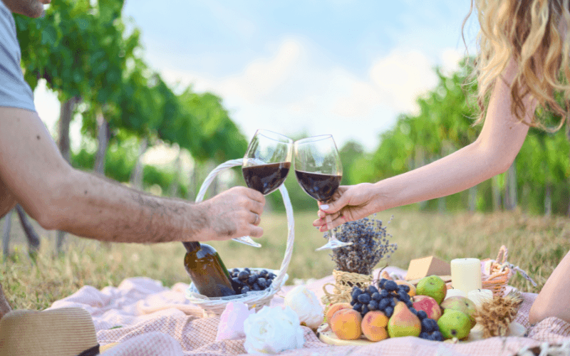 Casal brindando com taças de vinho tinto em piquenique no vinhedo, com frutas, uvas e cesta sobre manta ao chão.