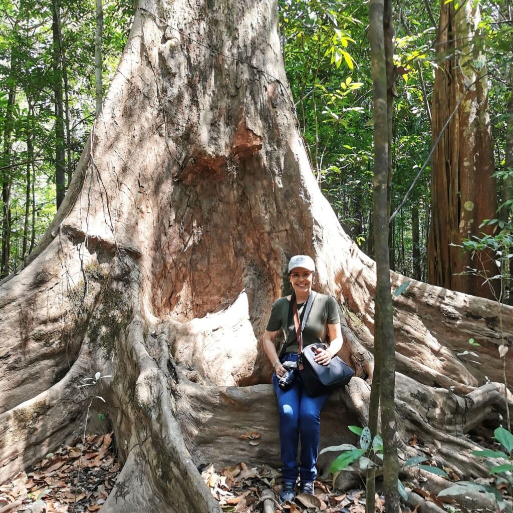 Árvore centenária no Parque Nacional de Anavilhanas