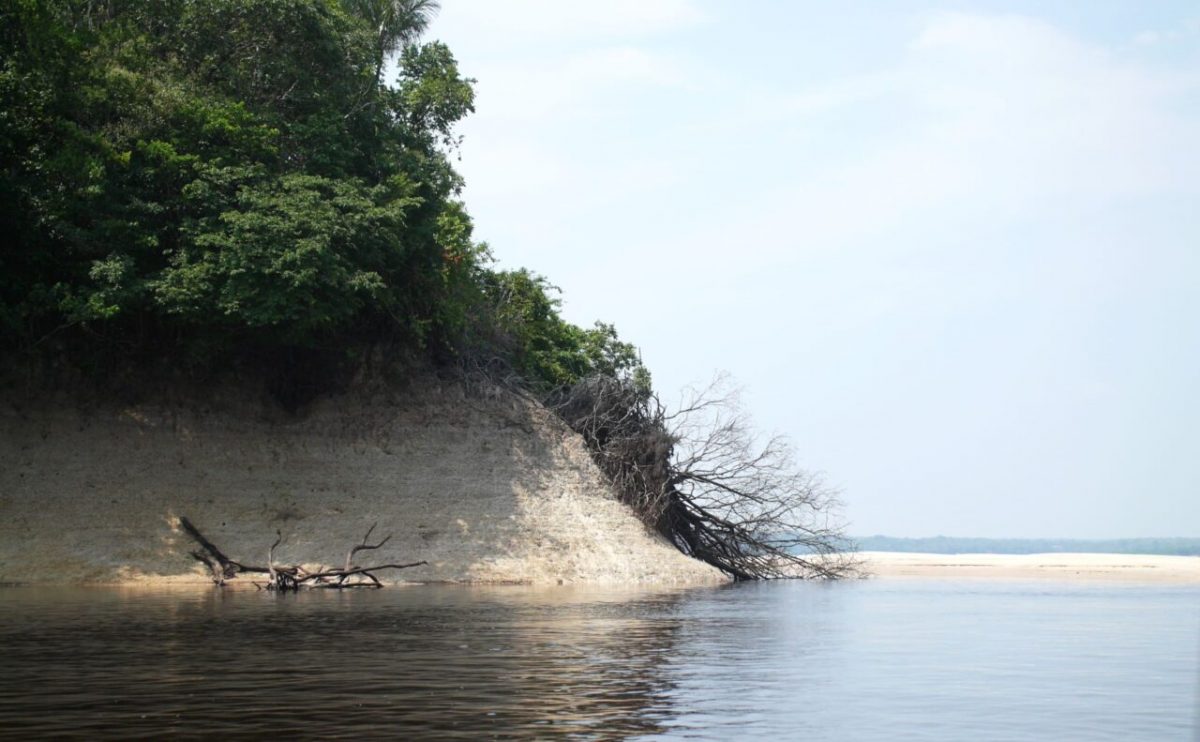 praia no parque nacional de anavilhanas