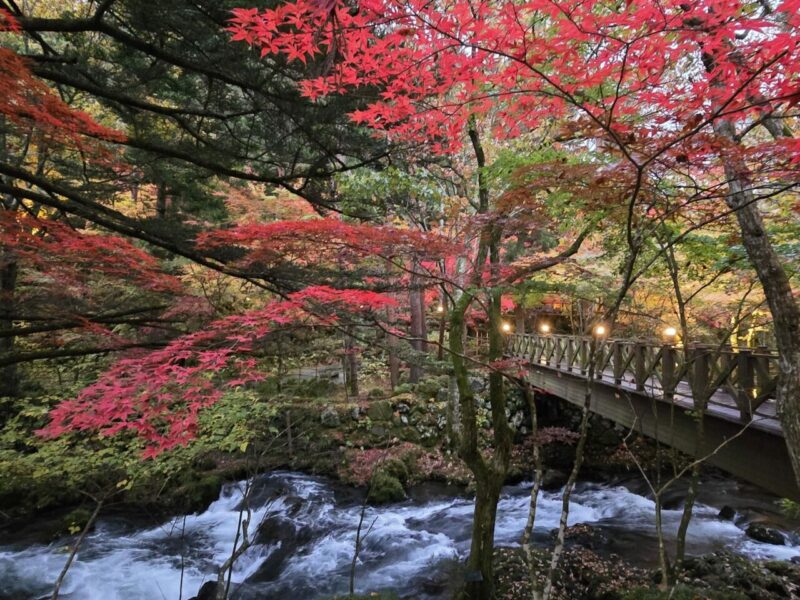 os mais belos jardins japoneses