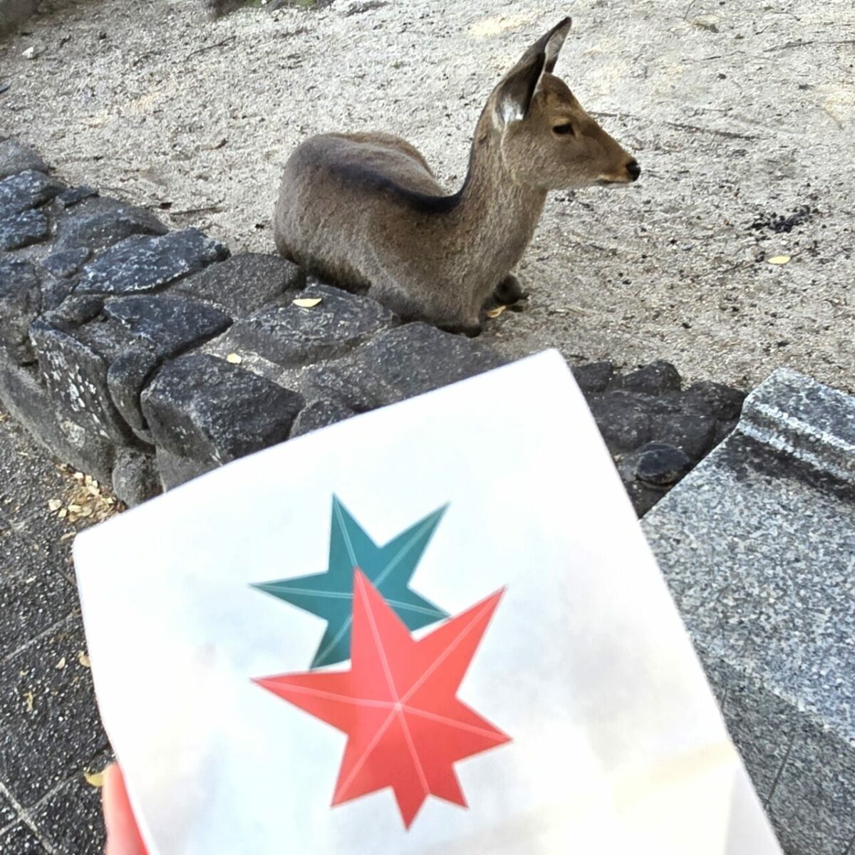 momiji manju e veado, na ilha de Miyajima