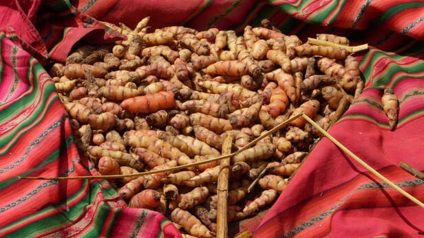 batatas nativas em viagem ao Peru